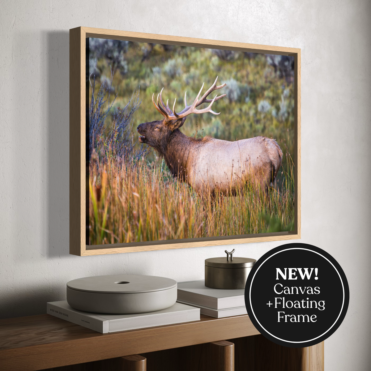 A framed canvas wall art print showing an elk standing in tall grass, displayed above a wooden console table against a light gray wall. A black circular badge in the lower right says 'NEW! Canvas + Floating Frame'.