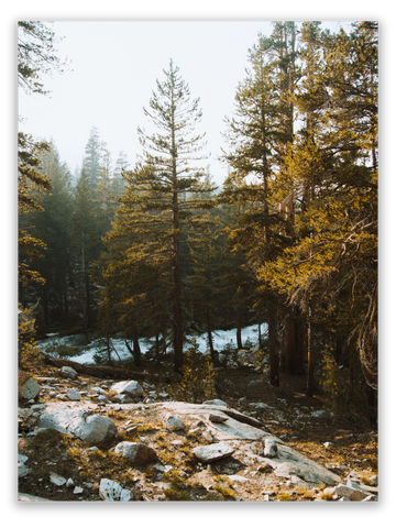 Riverside Hike