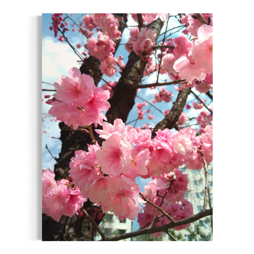 Le réveil du printemps