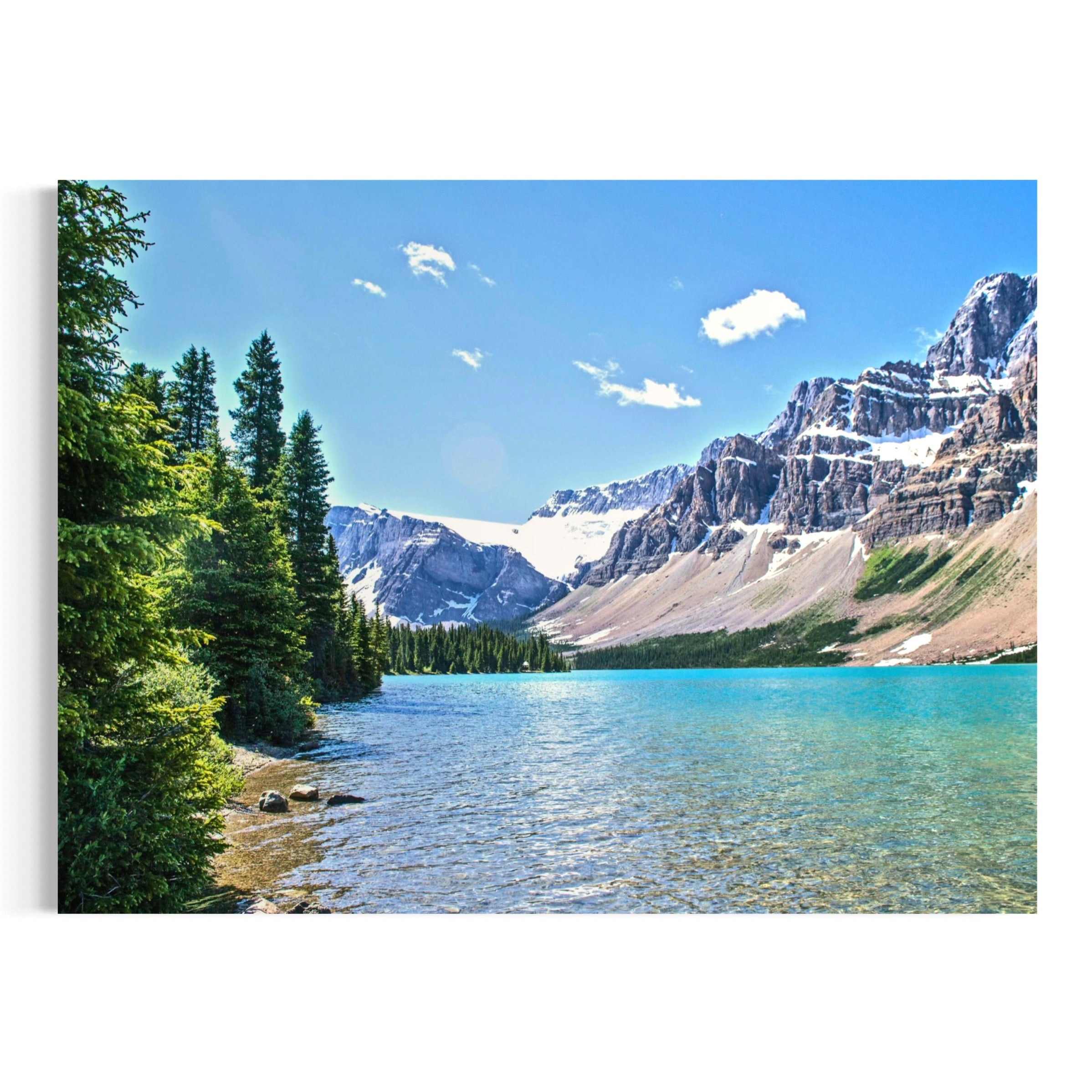 Tranquility in the Wild - Moderno Wall Art Wall Art