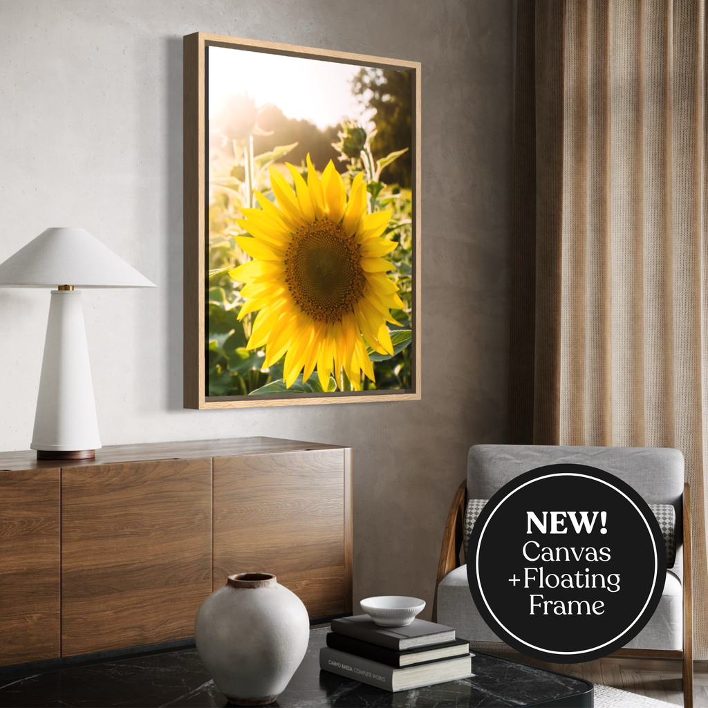 Summer Sunflower