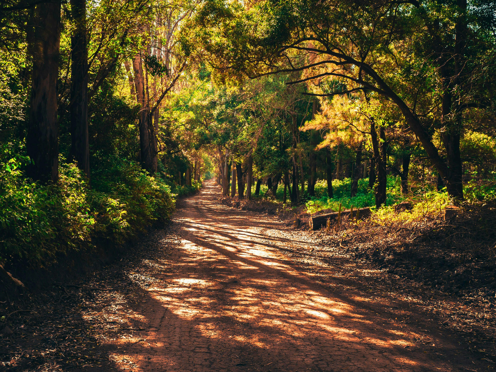 Nature’s Passage