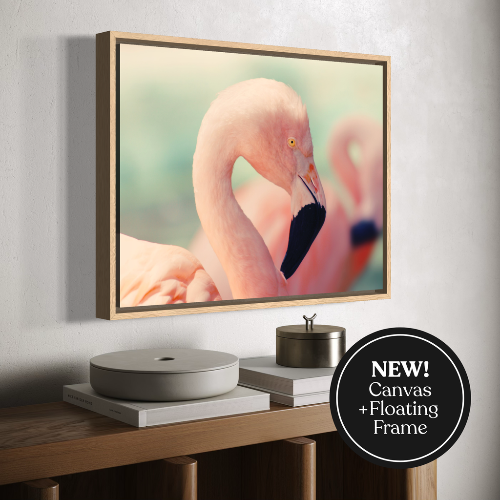A framed canvas wall art print showing a close-up flamingo portrait, displayed above a wooden console table with books and decor. A black circular badge in the lower right reads 'NEW! Canvas + Floating Frame'.