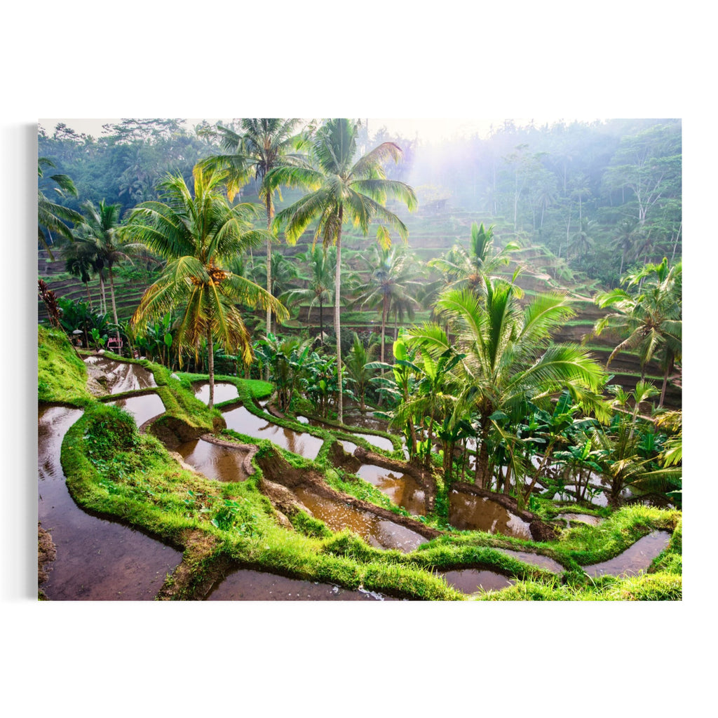 Tropical Cultivation