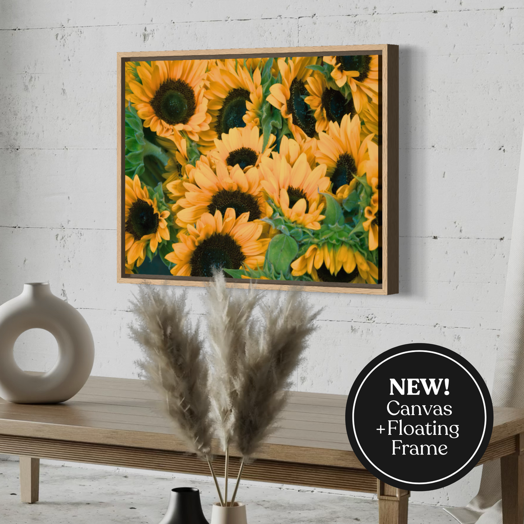 Campo de girasoles