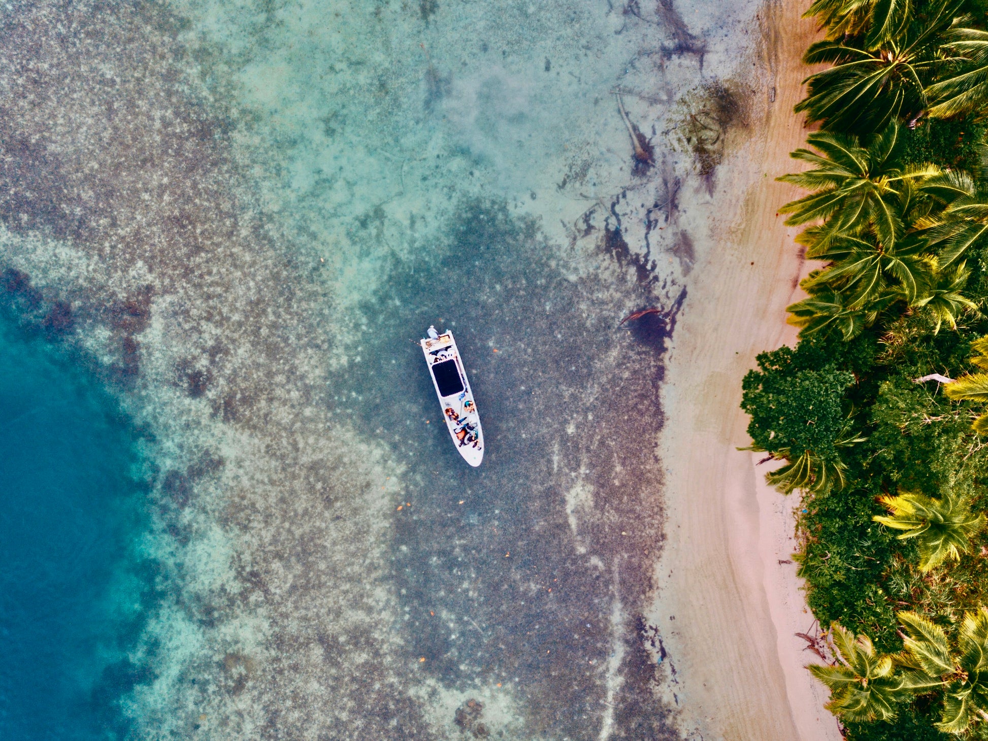 Anchored in Paradise