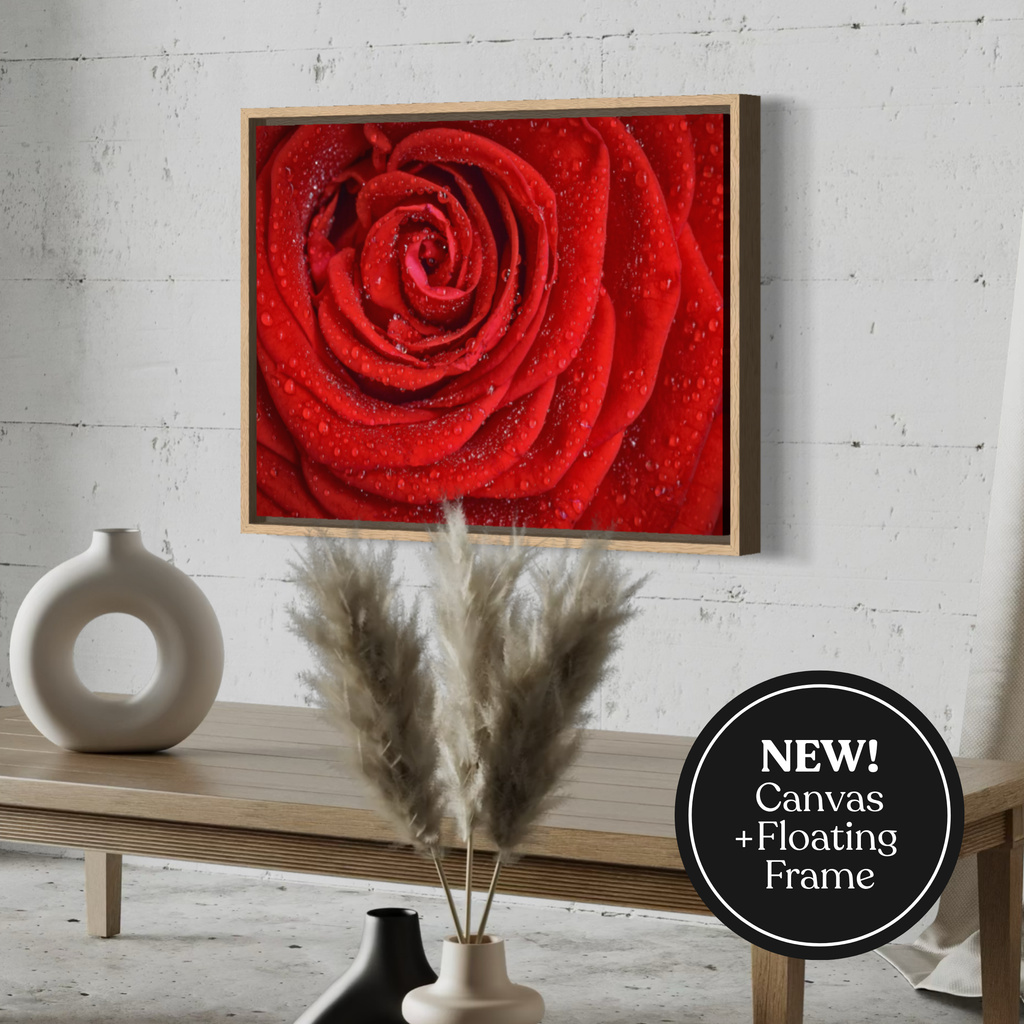 Heart of the Rose