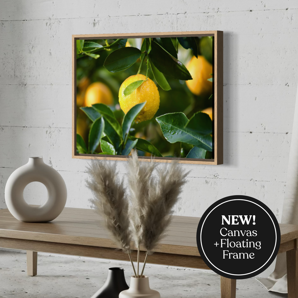 Lemon In Focus