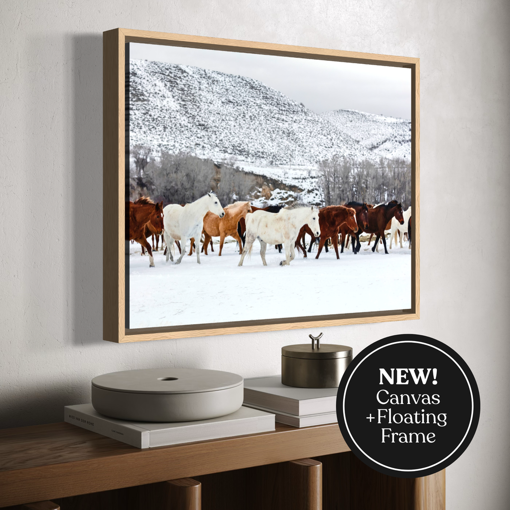 Framed canvas wall art showing a herd of horses walking through a snowy landscape with mountains in the background, displayed on a wall above a wooden console. A black circular badge in the lower right says 'NEW! Canvas + Floating Frame'.