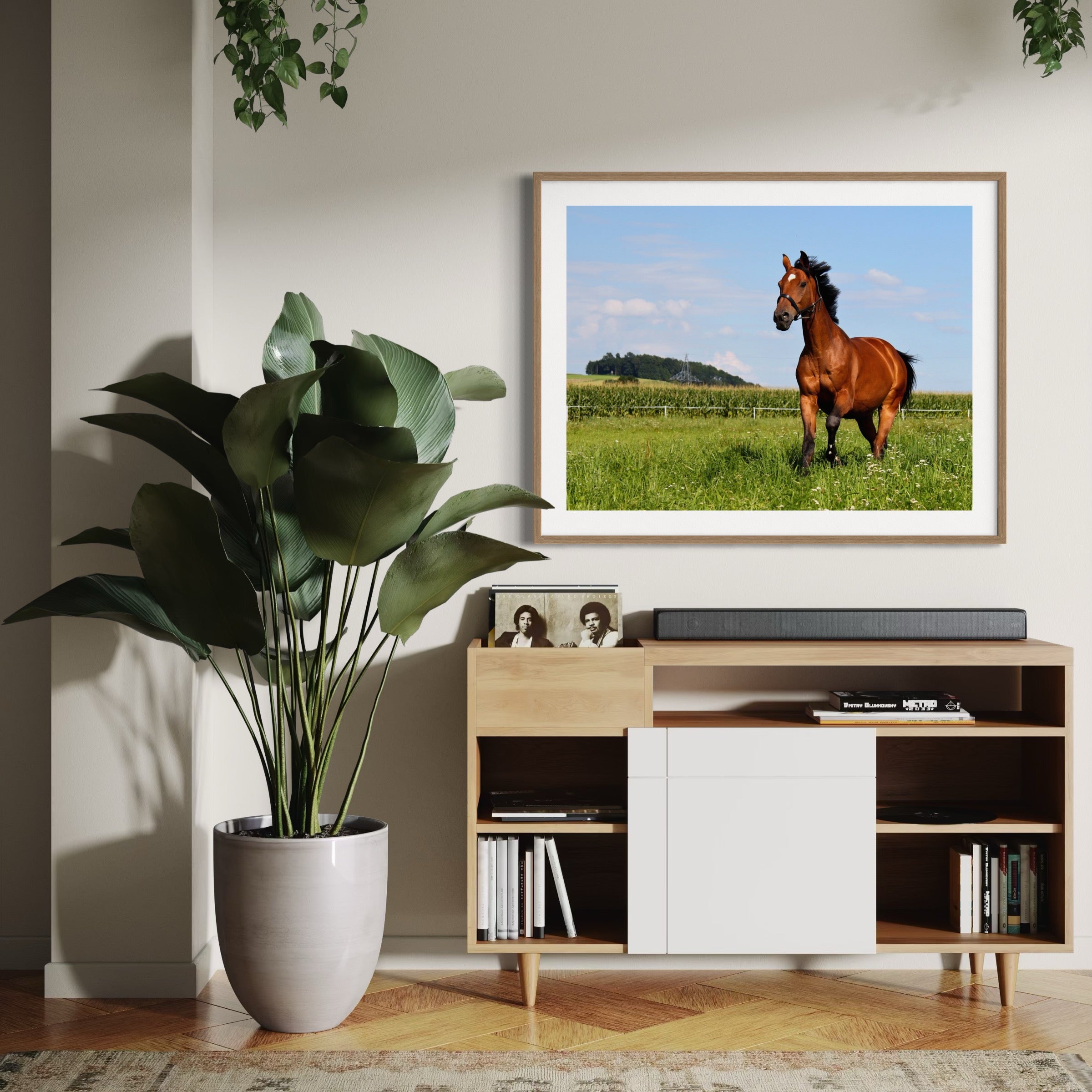 Power and Grace - Moderno Wall Art Wall Art