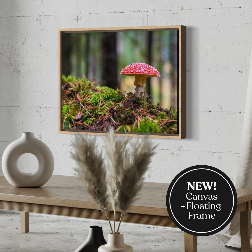 Enchanted Ground