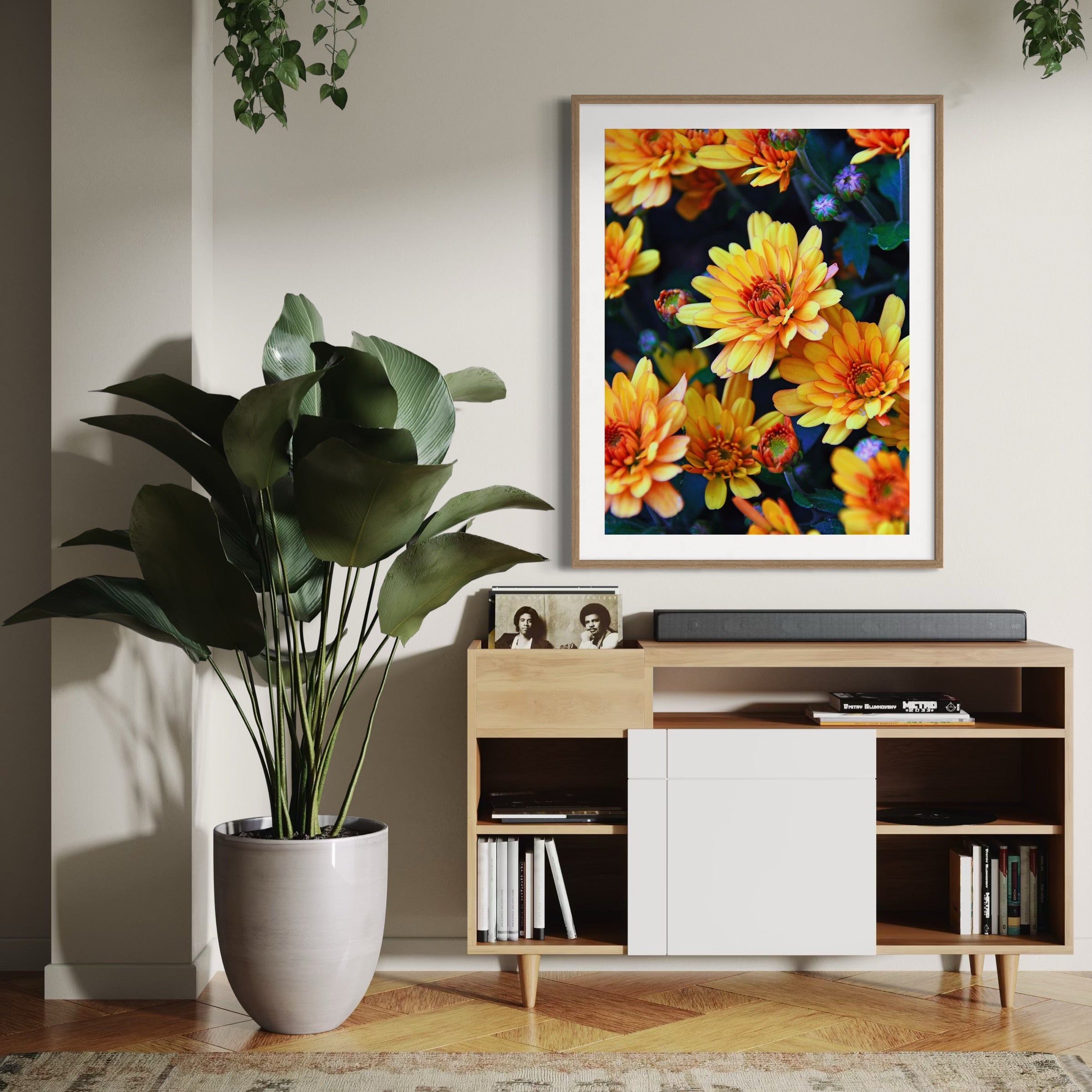 Chrysanthemum Glow - Moderno Wall Art Wall Art