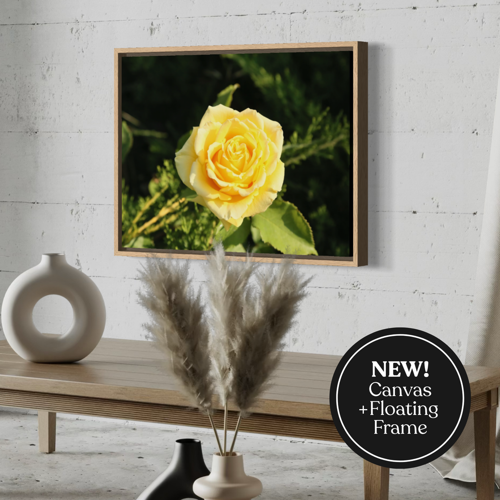 Golden Rose