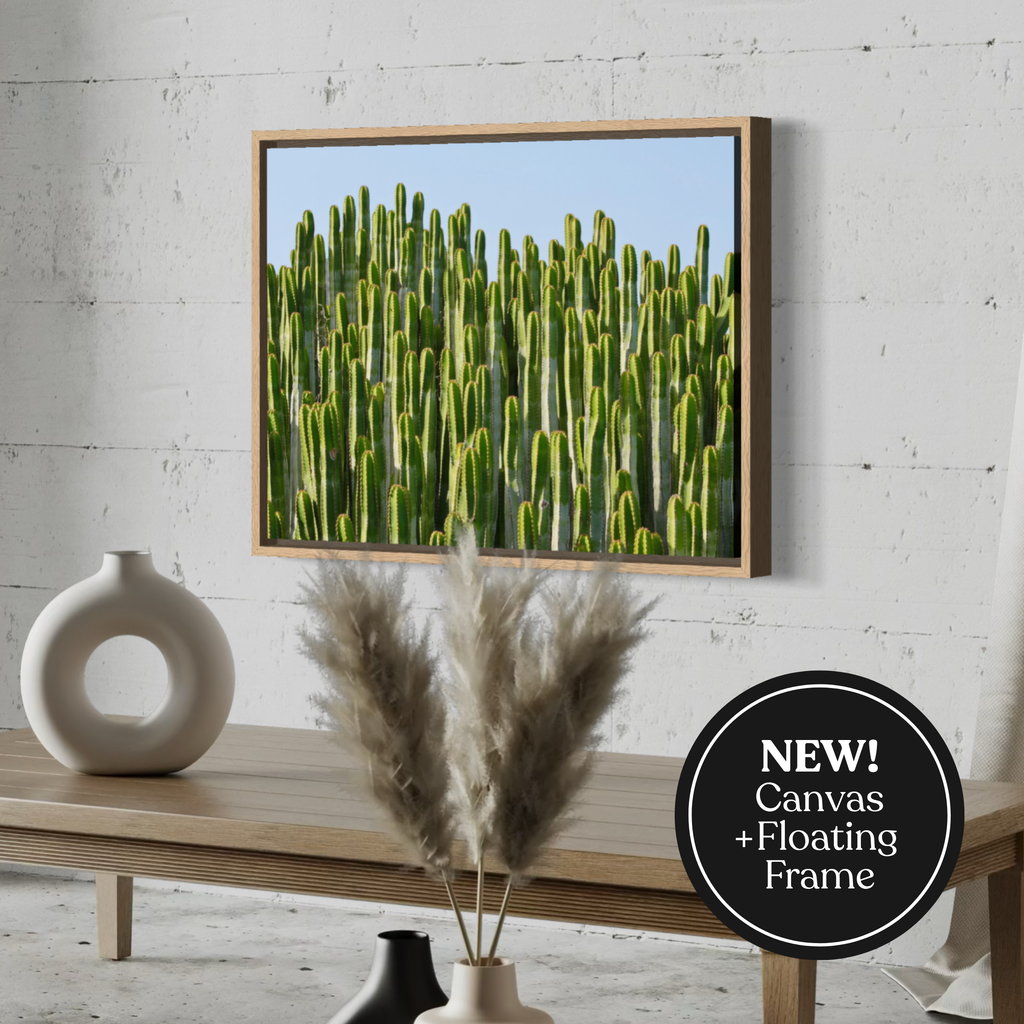 Skybound Cacti