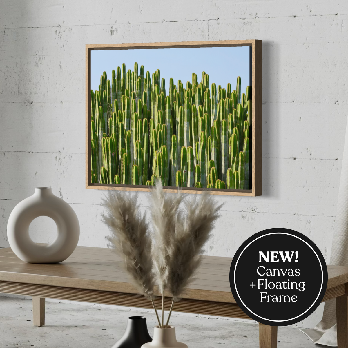 Skybound Cacti