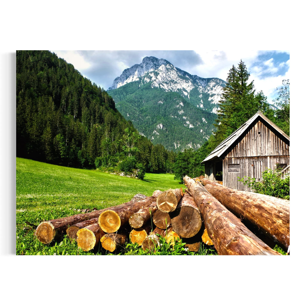 Alpine Meadow Life - Moderno Wall Art Wall Art