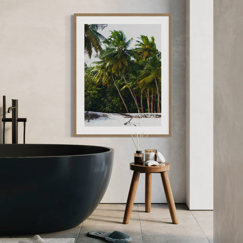 Palm Haven - Moderno Wall Art Wall Art