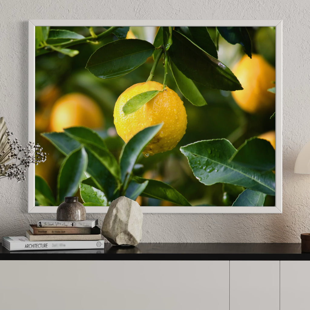 Lemon In Focus - Moderno Wall Art Wall Art