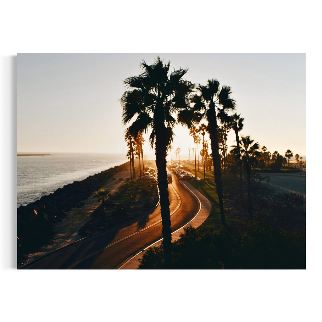 Coastal Silhouettes
