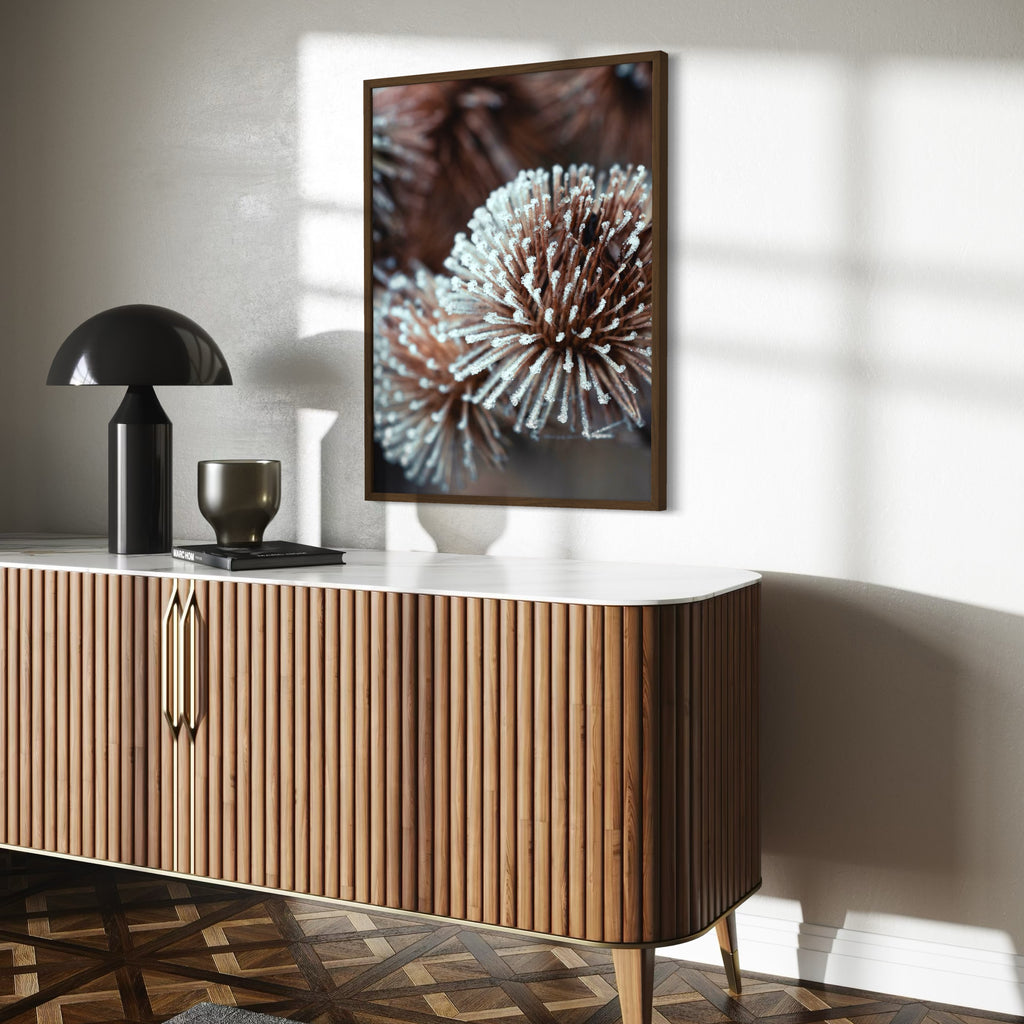 Dried Globe Thistle - Moderno Wall Art