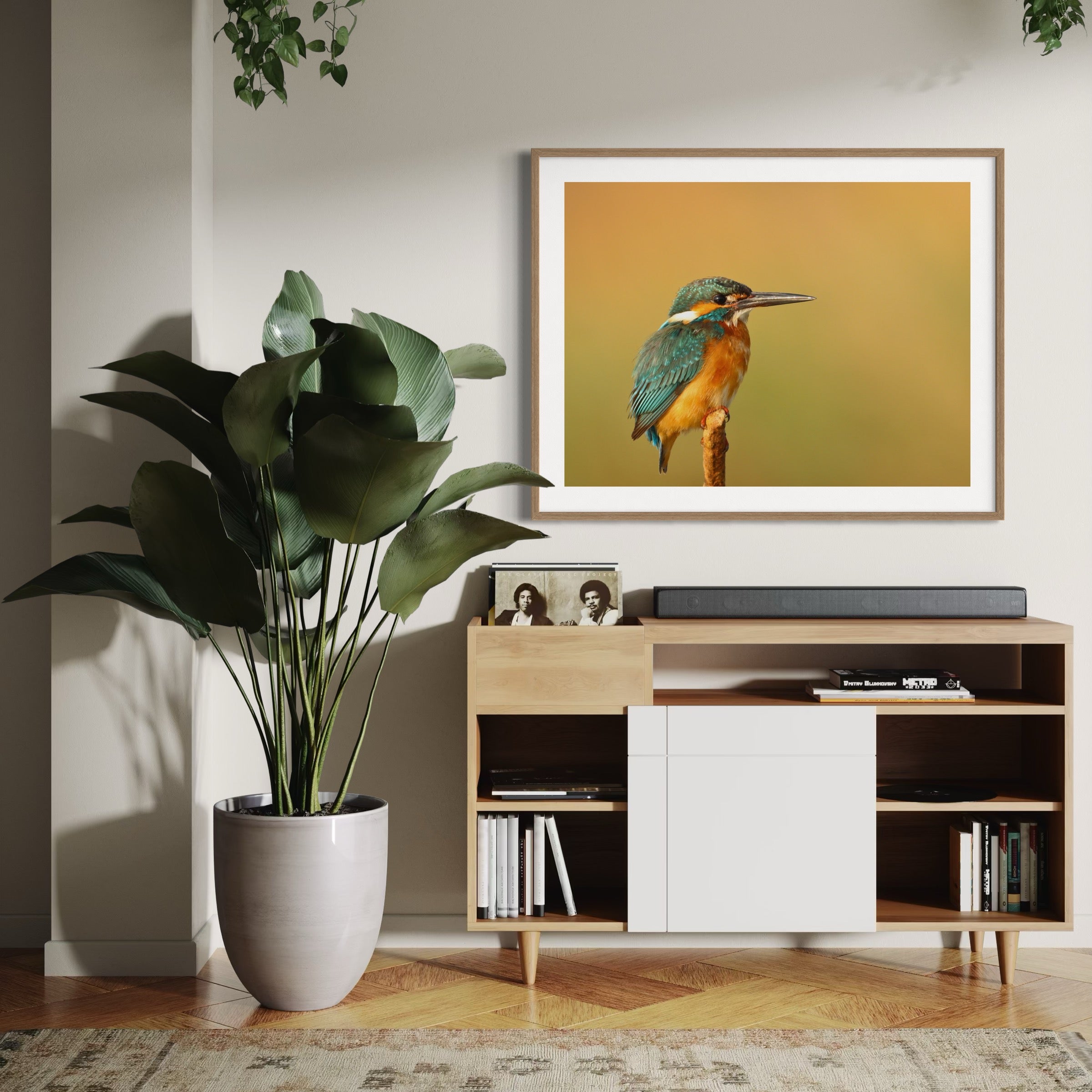 Kingfisher Perch - Moderno Wall Art Wall Art