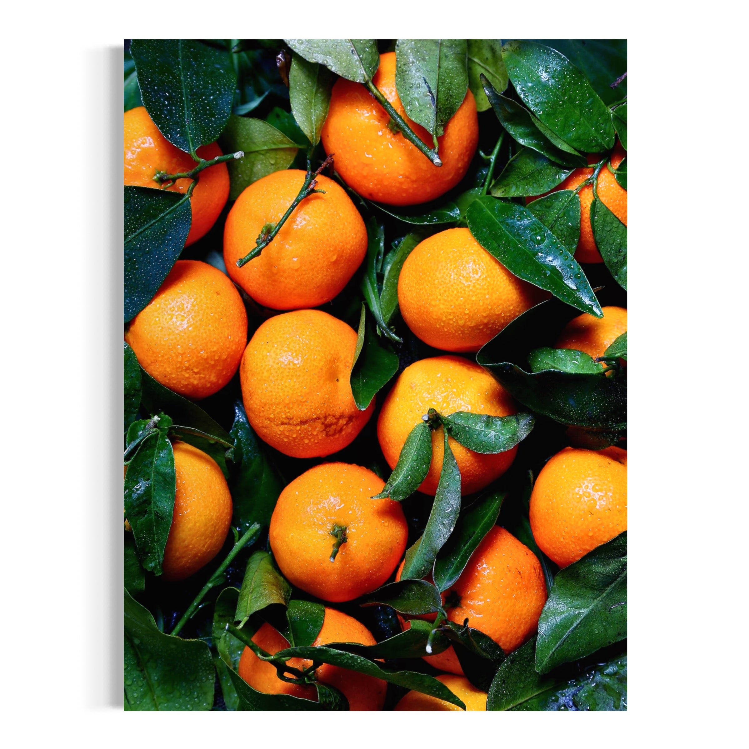 Naranjas recién lavadas