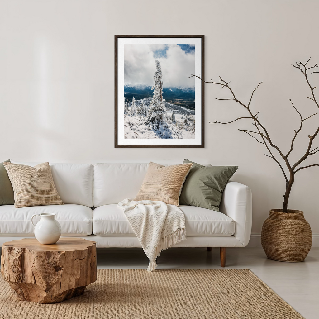 Winter Evergreen
