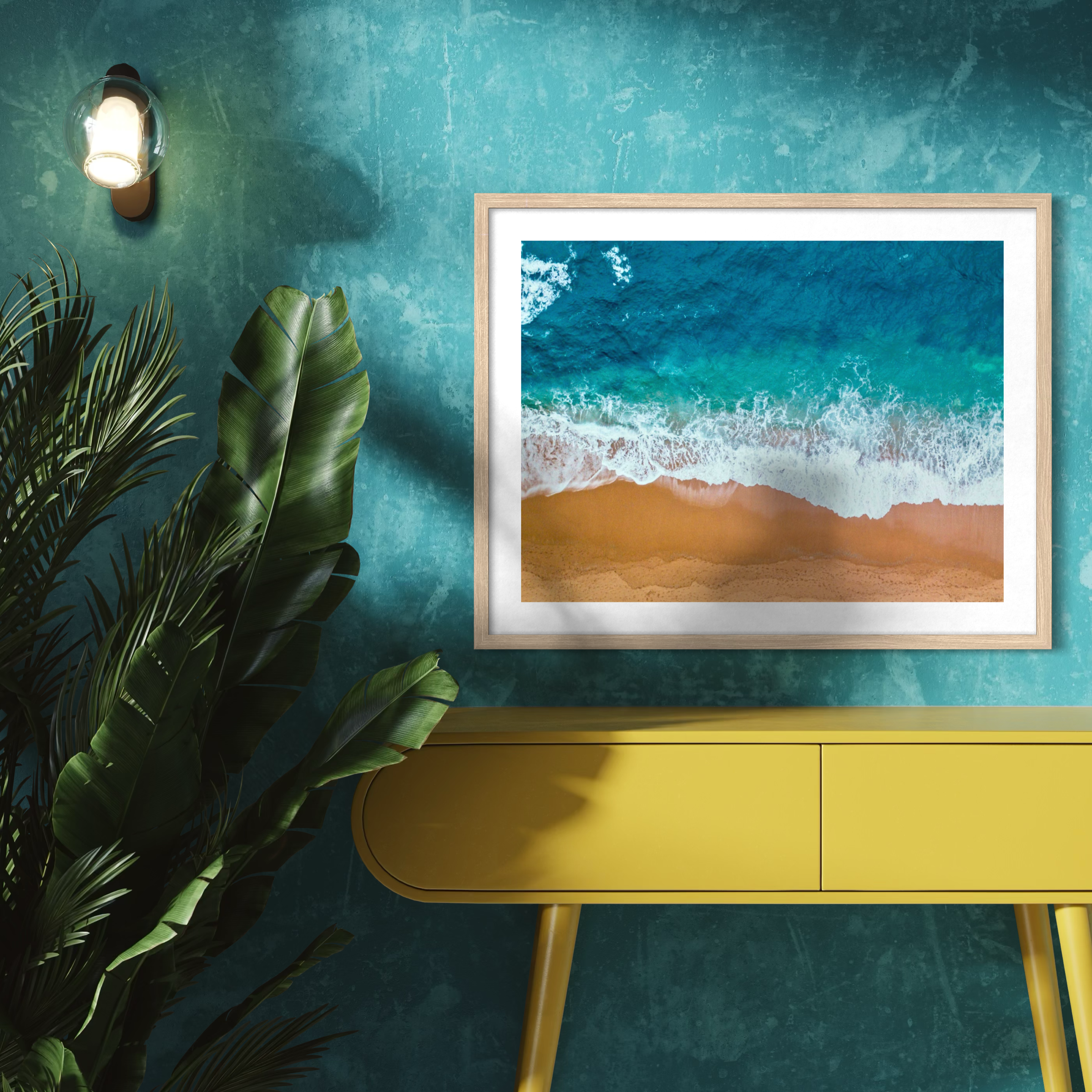 Coastal Contrast