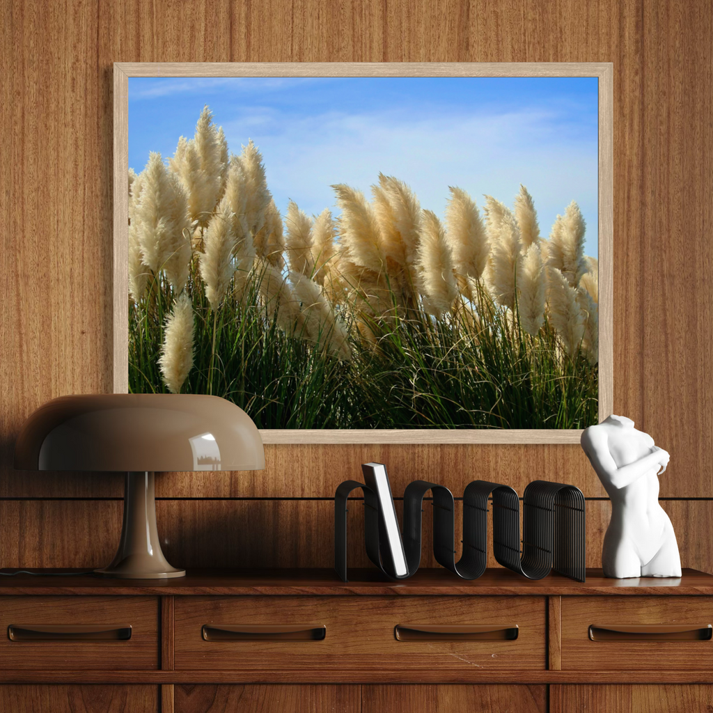 Pampas in the Breeze