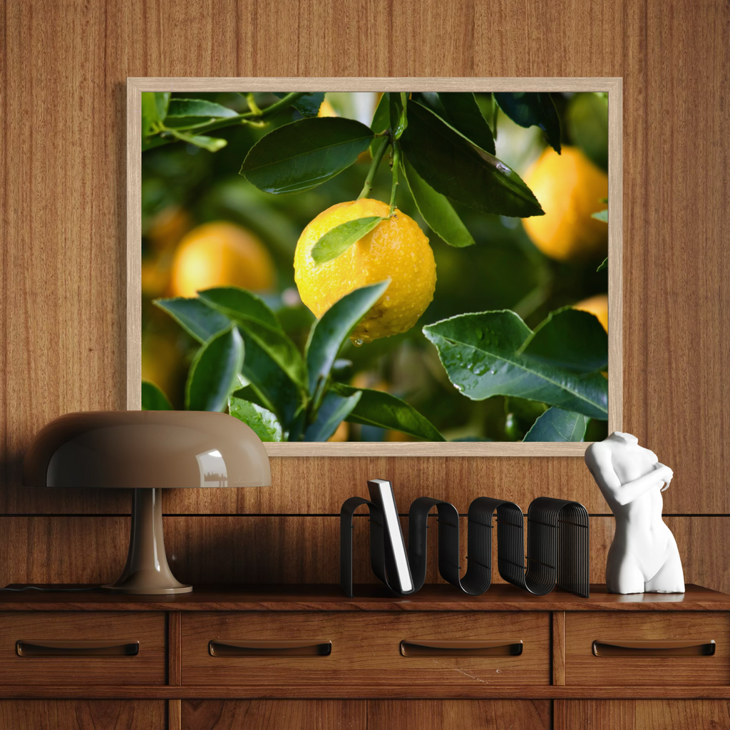 Lemon In Focus