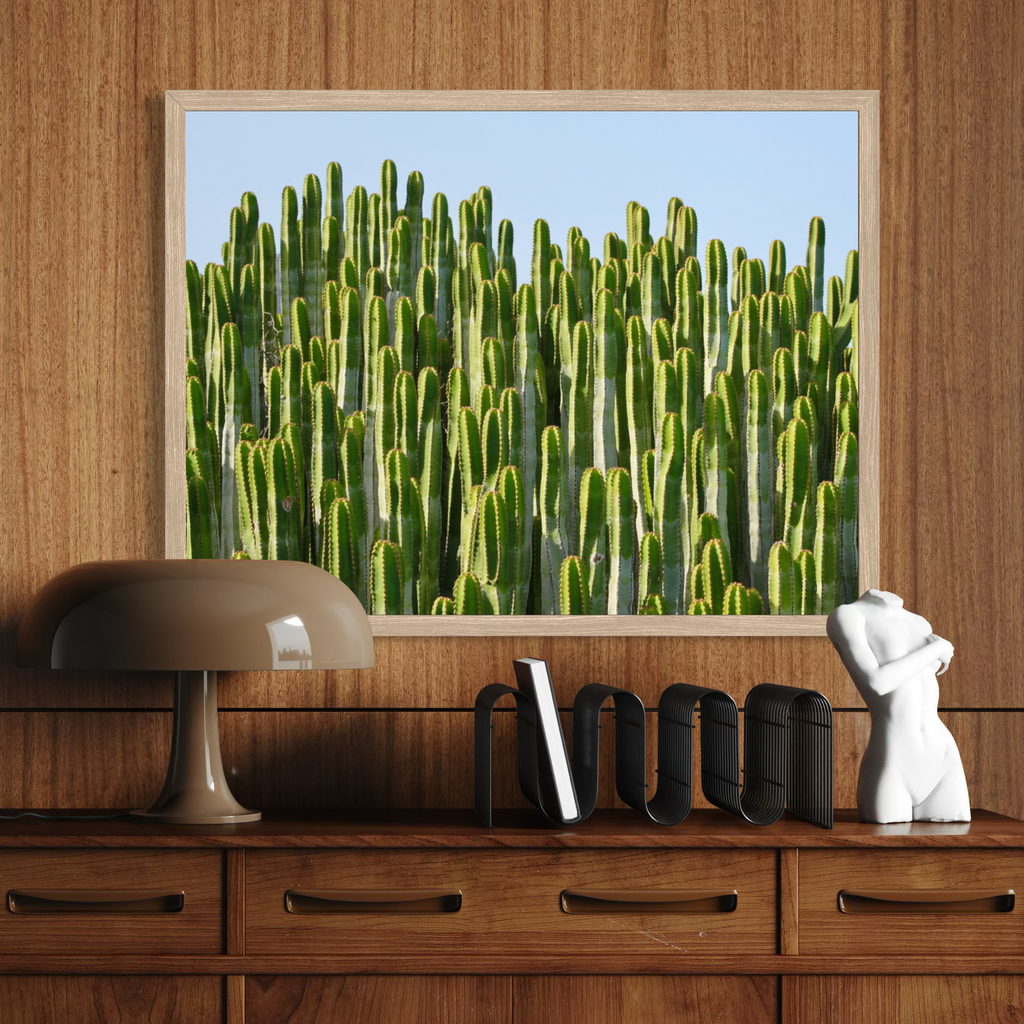 Skybound Cacti