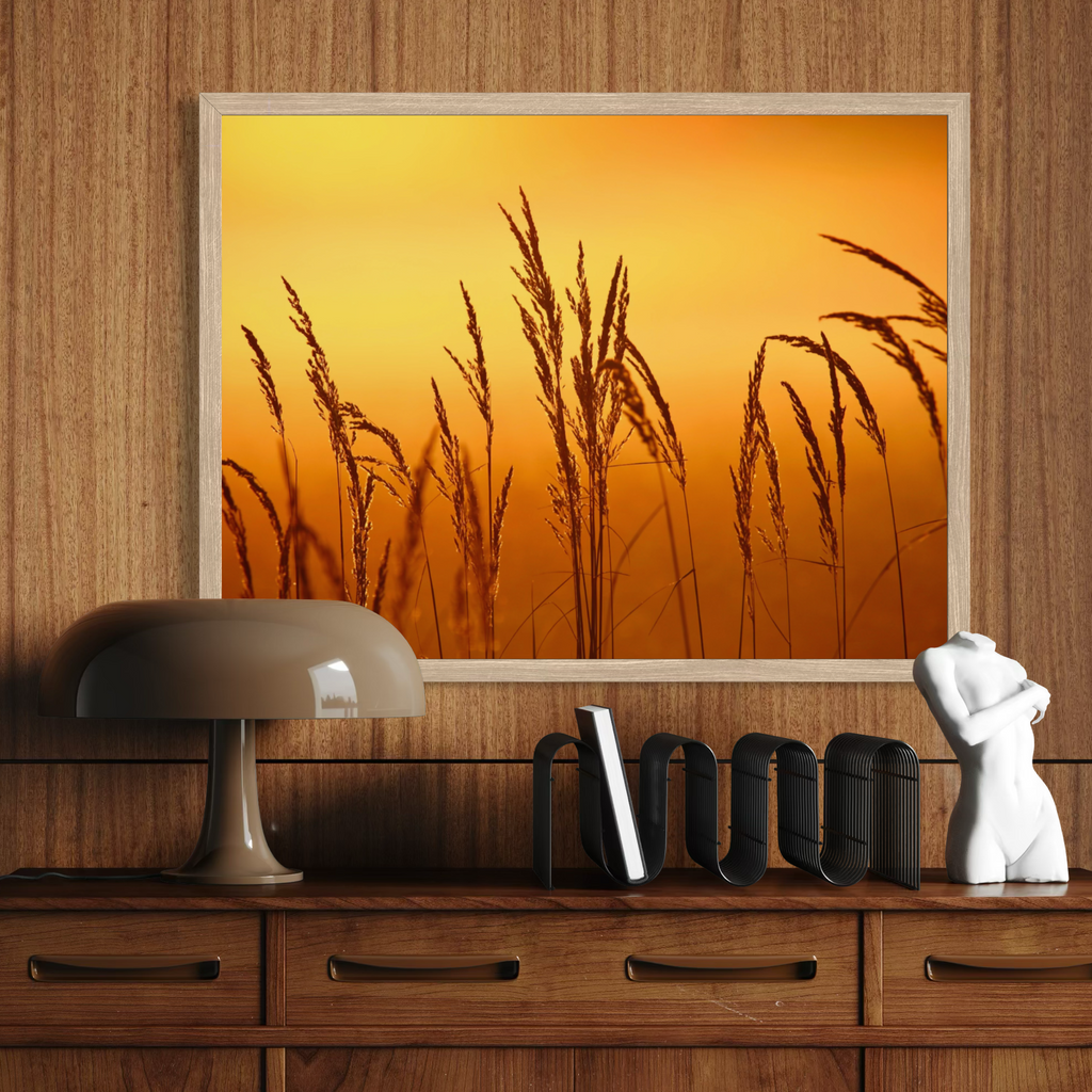 Sunset Reeds