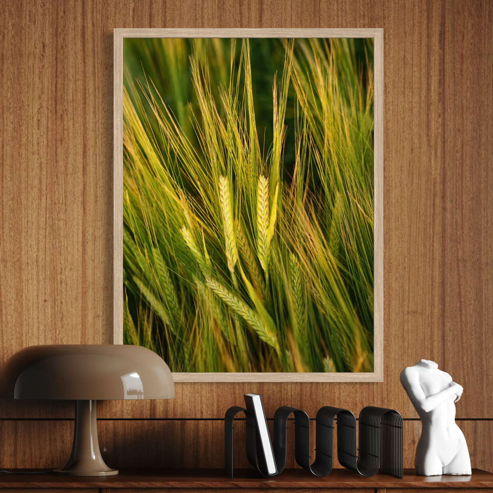 Barley in Bloom