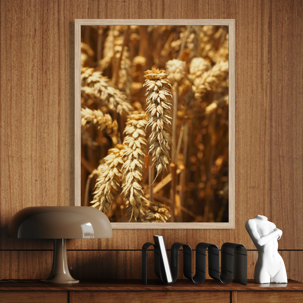 Field of Gold