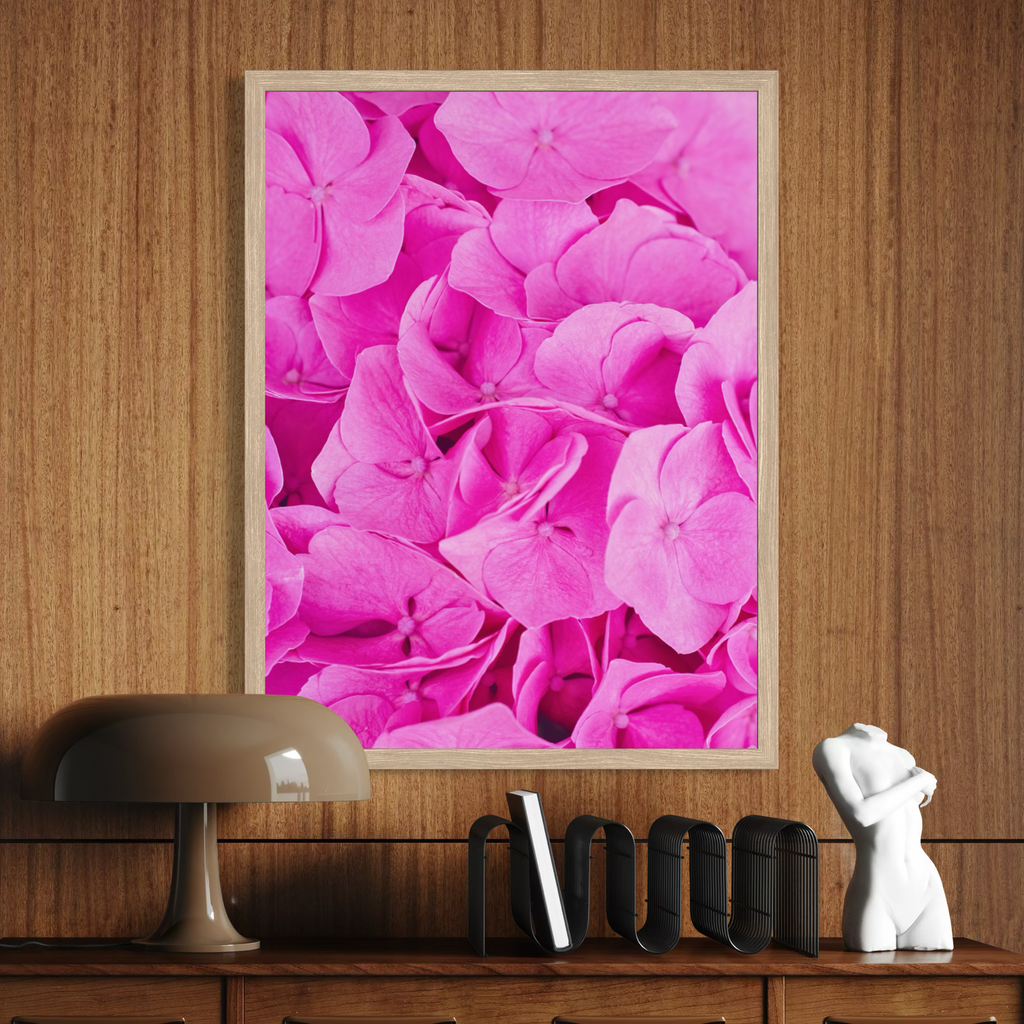 Pink Hydrangea in Detail