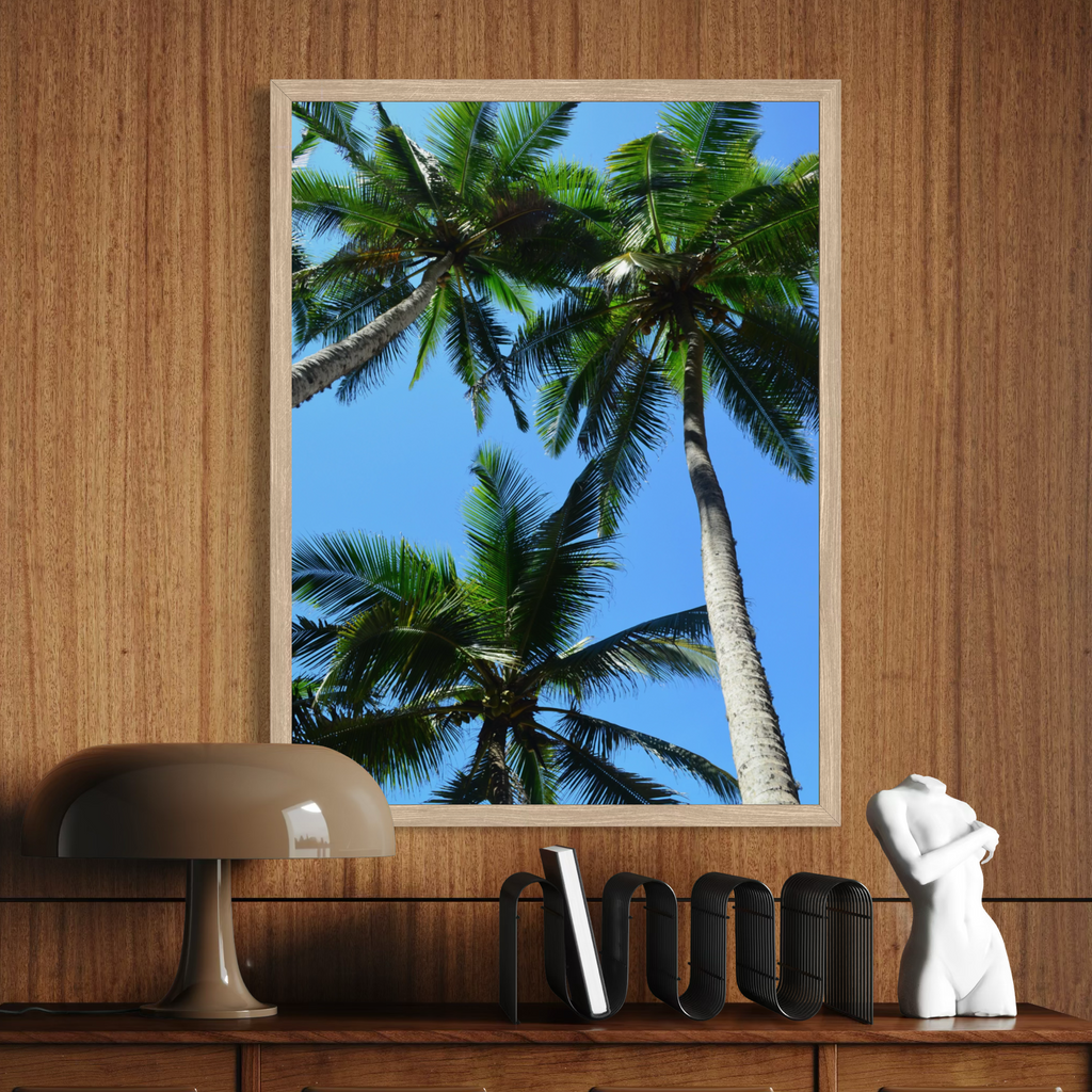 Coconut Canopy