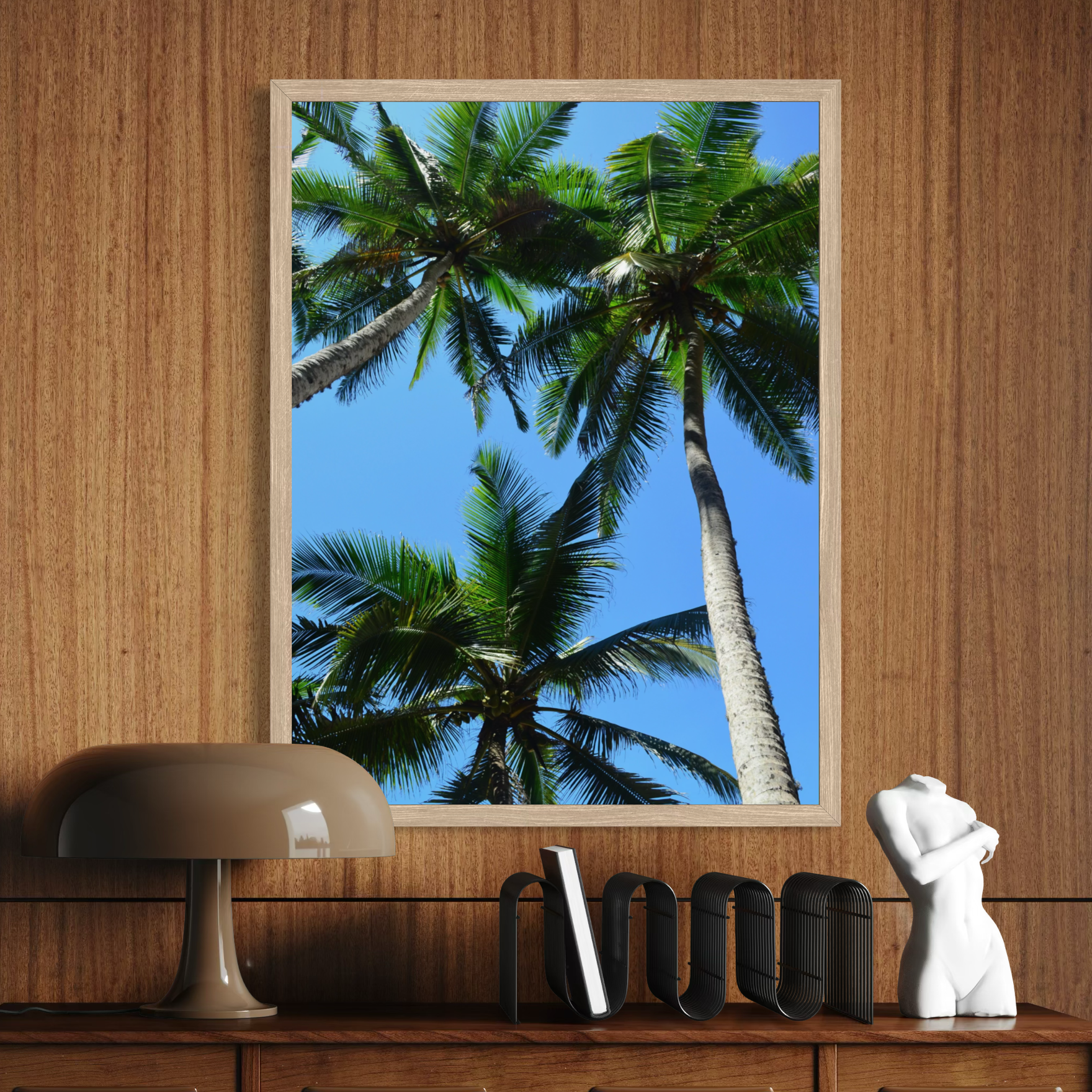 Coconut Canopy