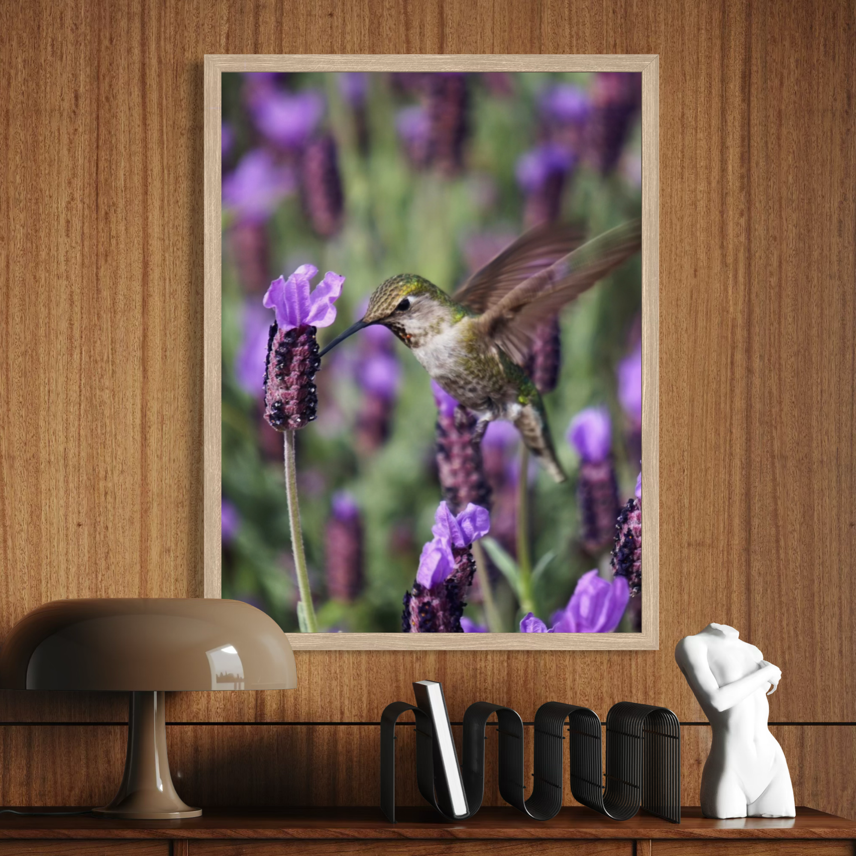 Colibrí y lavanda española