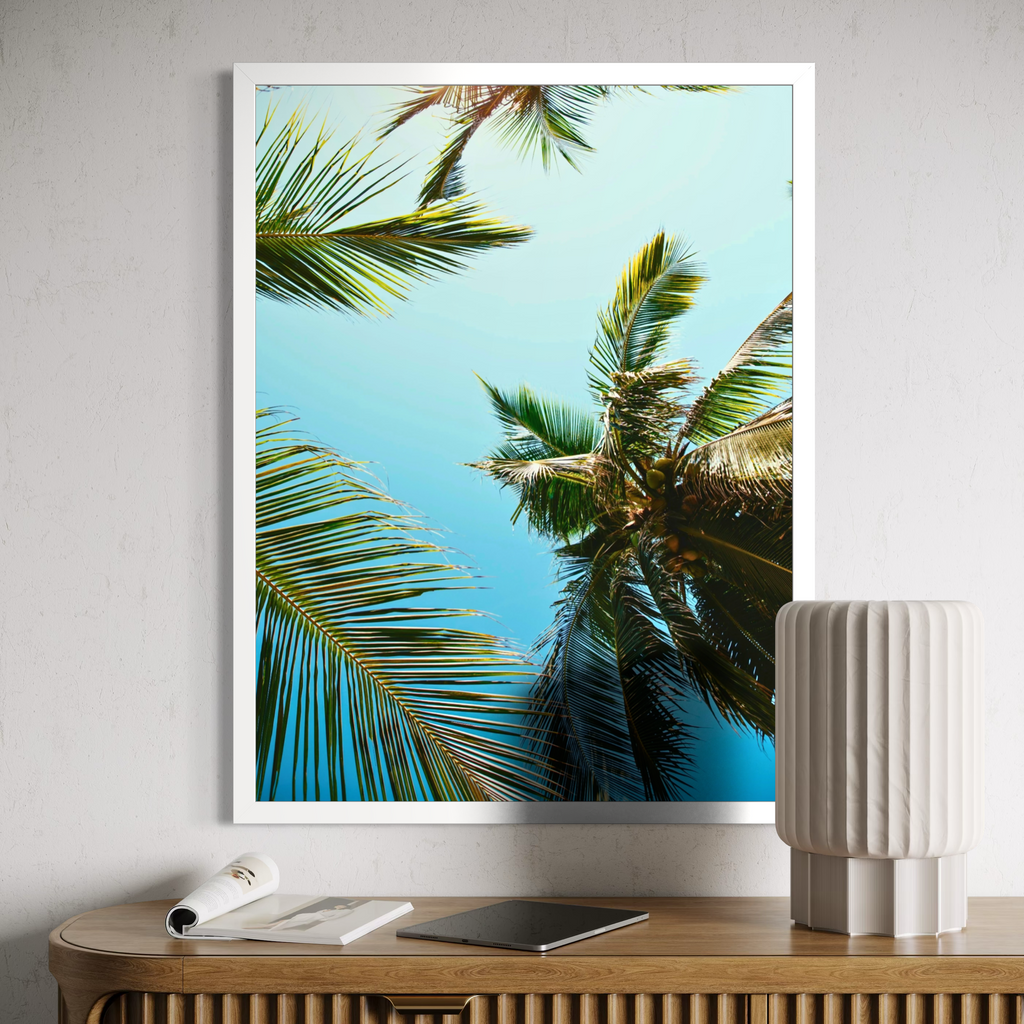 Sunlit Palm Canopy