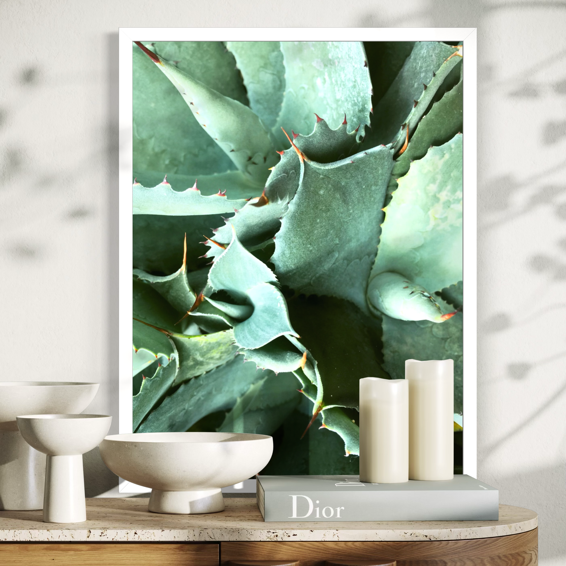 Agave en detalle