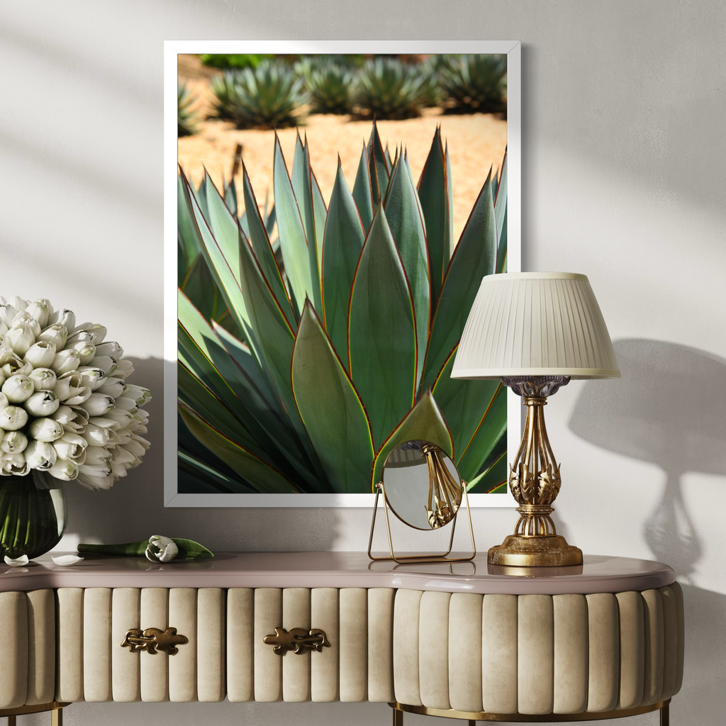 Agave del desierto