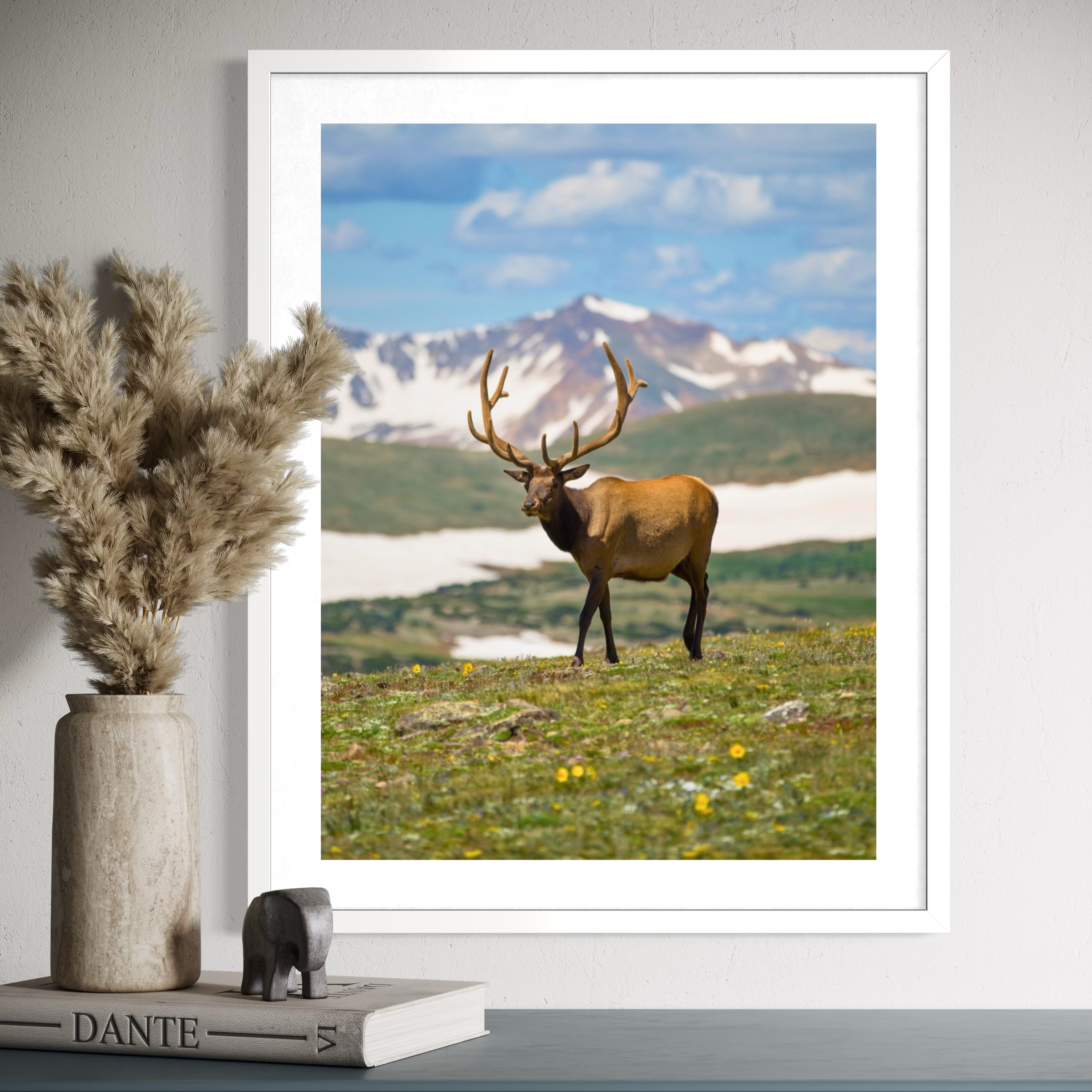 Cerfs dans les hautes terres