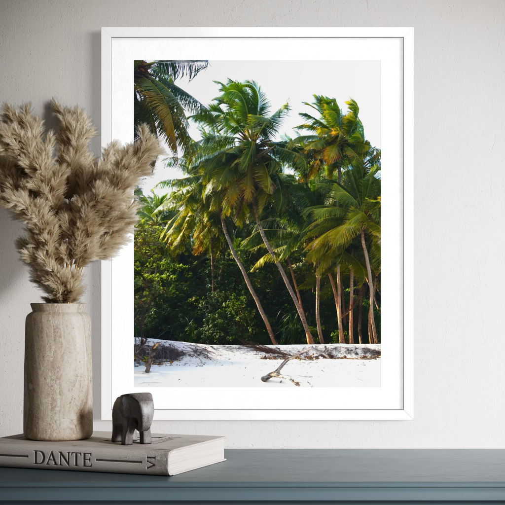 Palm Haven