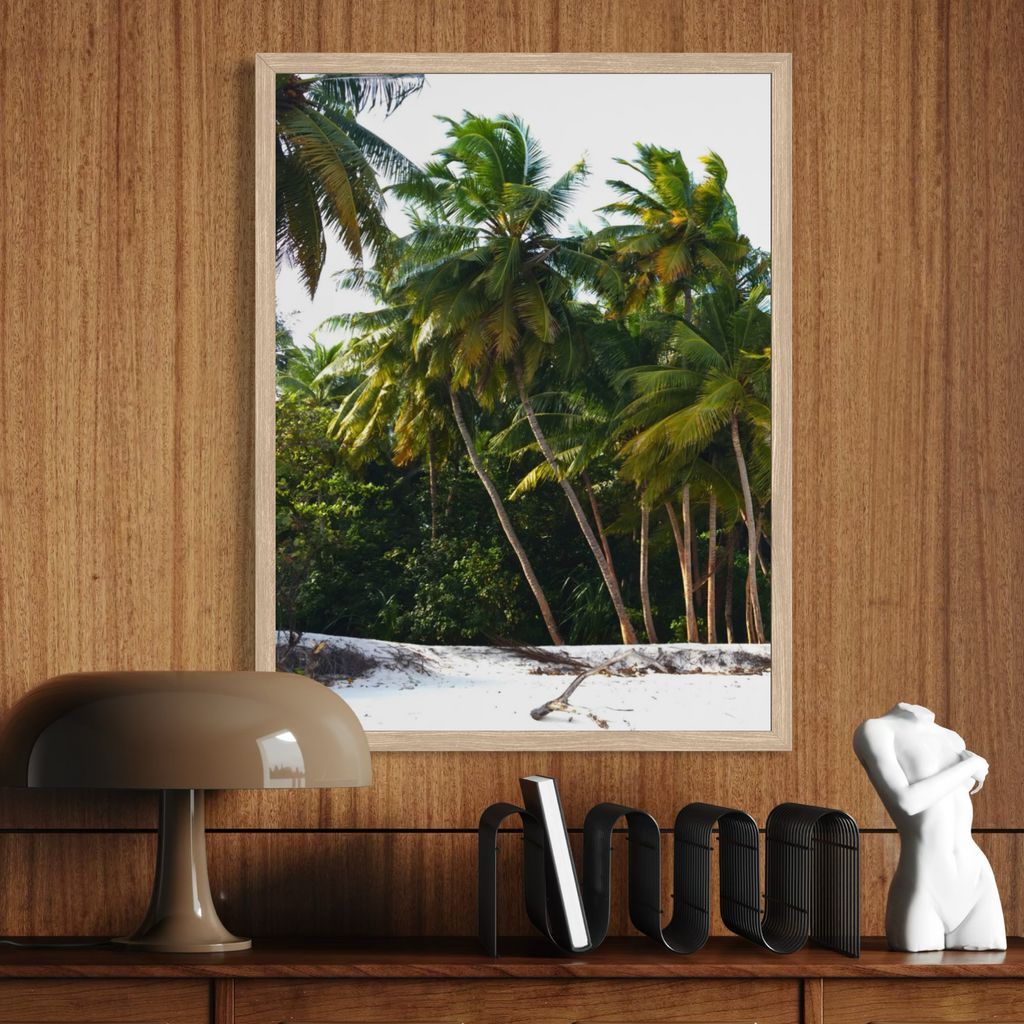 Palm Haven