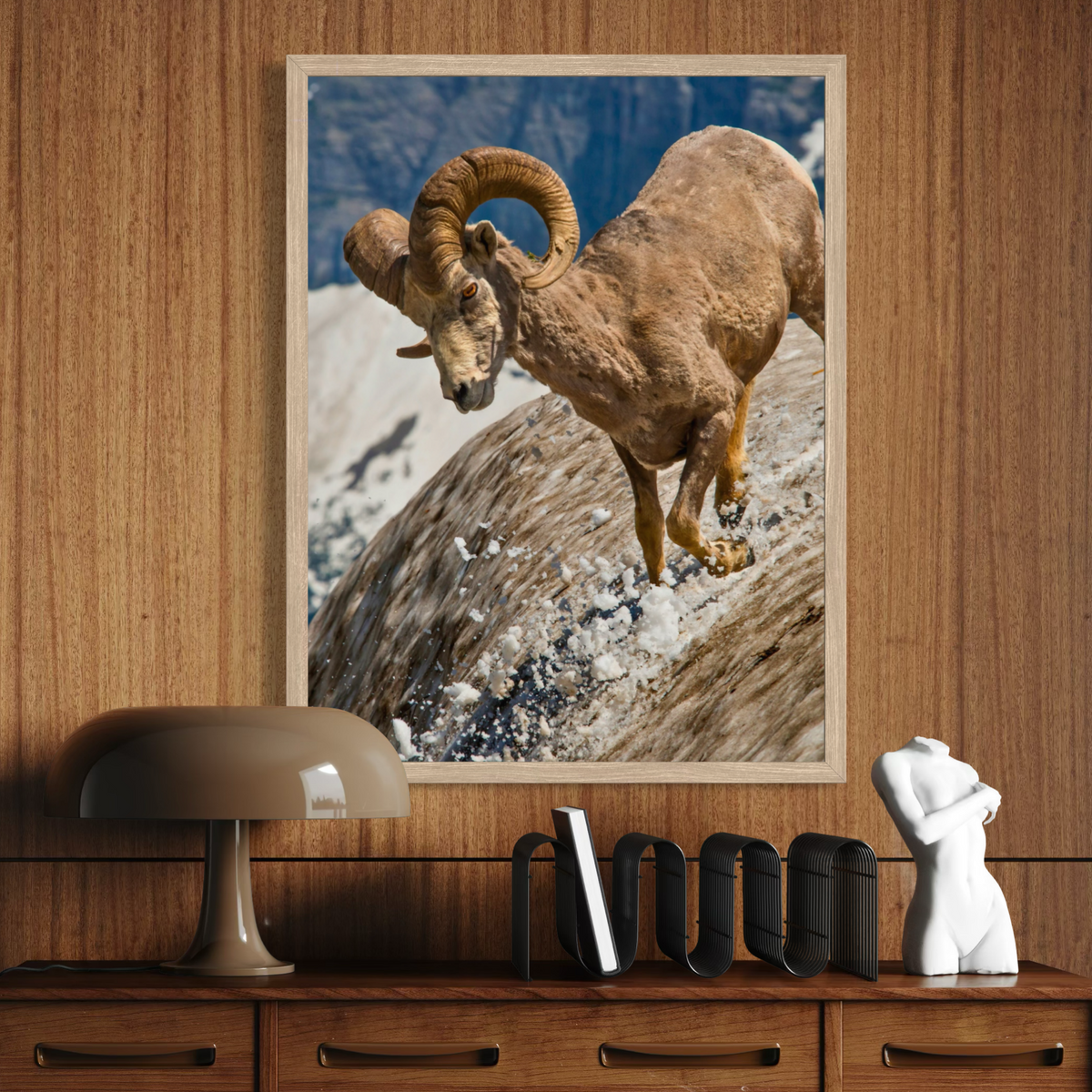 Mouflon d'Amérique