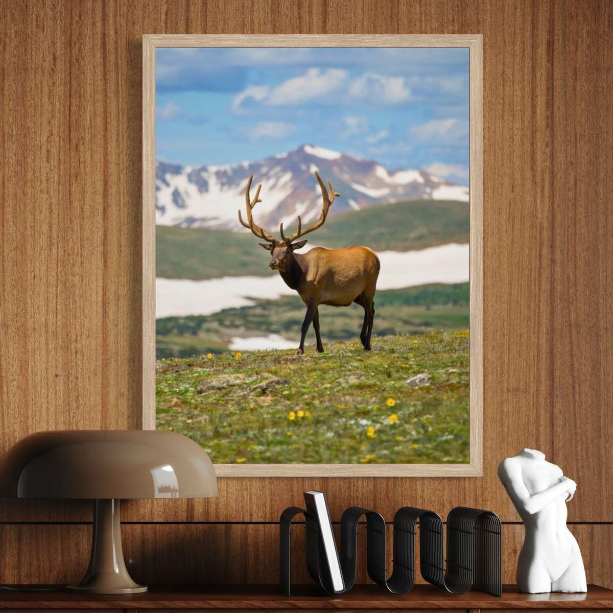 Cerfs dans les hautes terres