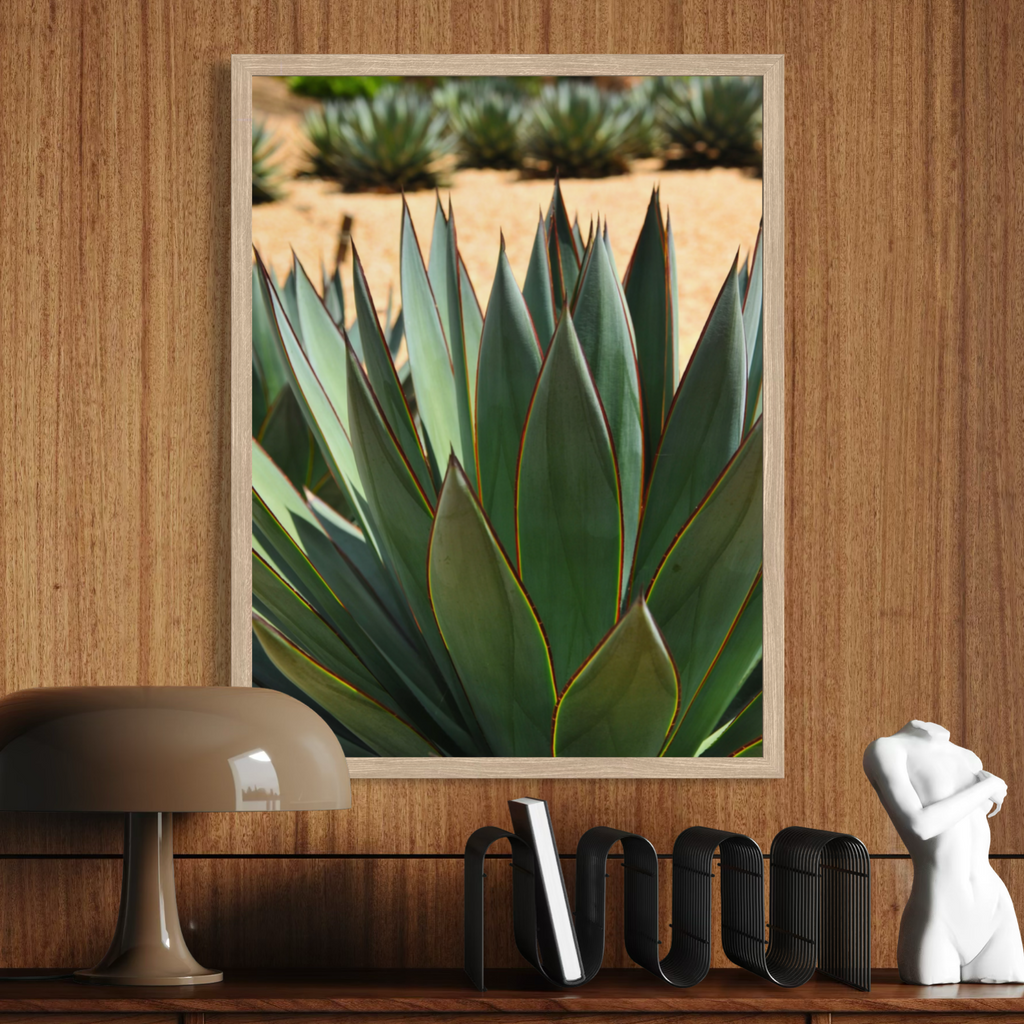 Agave del desierto