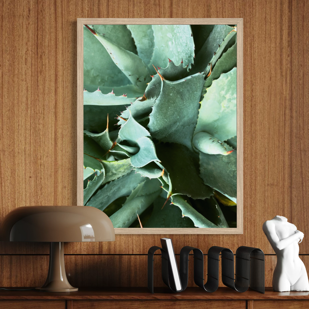 Agave in Detail