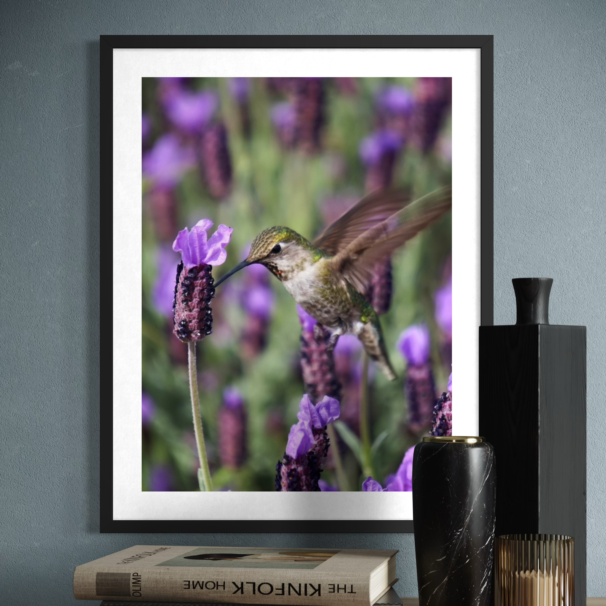 Colibrí y lavanda española