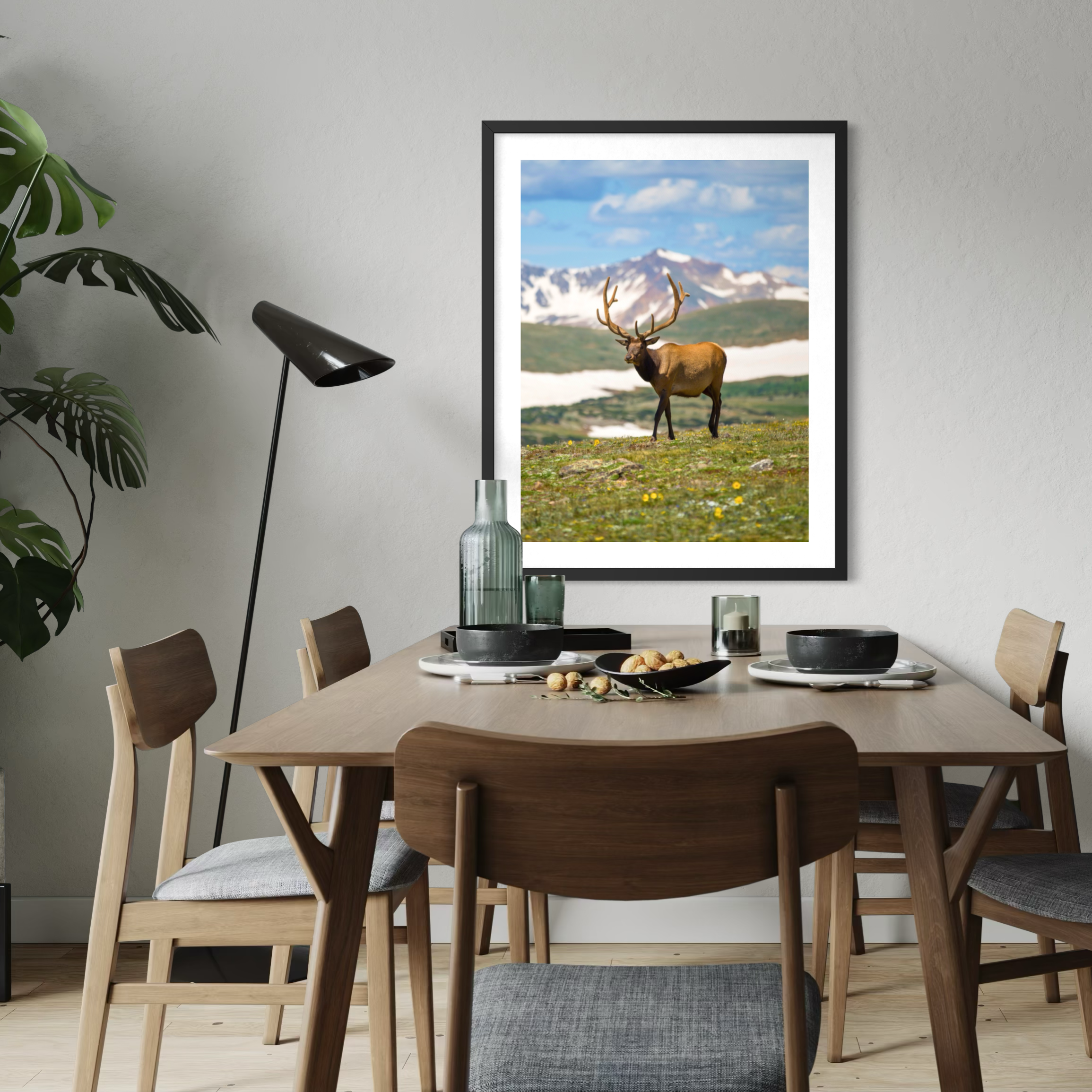 Cerfs dans les hautes terres